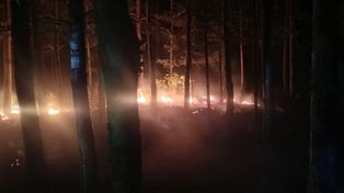 Nocna walka z ogniem w Księżpolu. Las znów stanął w płomieniach