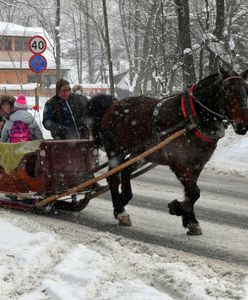 Kuligowe szaleństwo. Wolny termin na przejazd? Dopiero za kilka tygodni