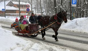 Kuligowe szaleństwo. Wolny termin na przejazd? Dopiero za kilka tygodni