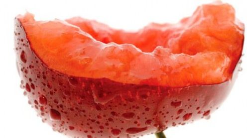 Akademia Nikona zaprasza do świata makrofotografii 1