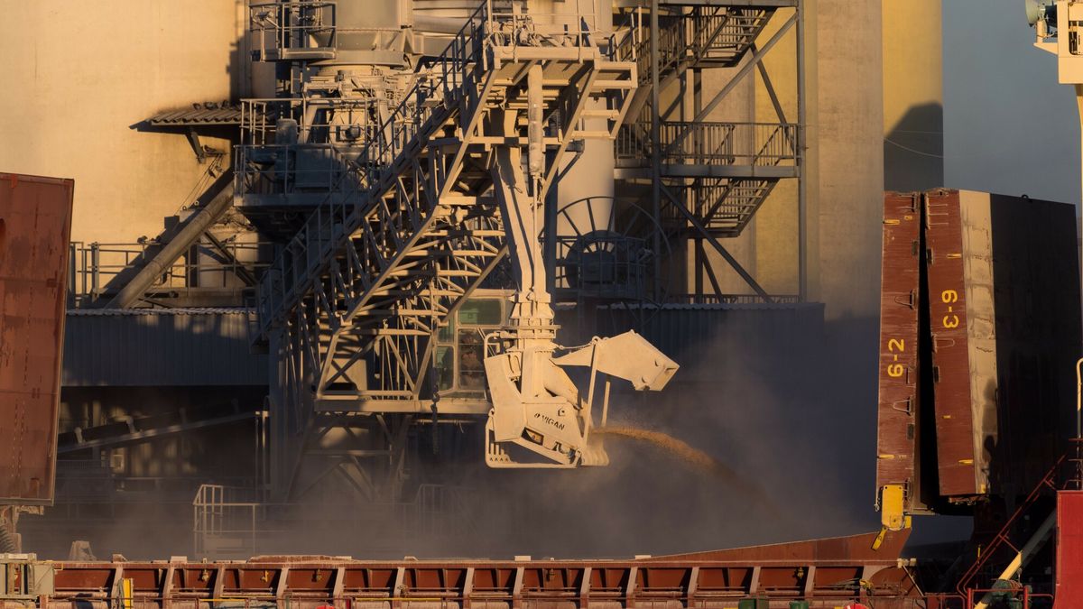 Przeładunek zboża w porcie