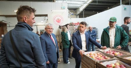 37 mln euro z UE dla Polski. To pieniądze na pomoc dla sadowników i winniczników