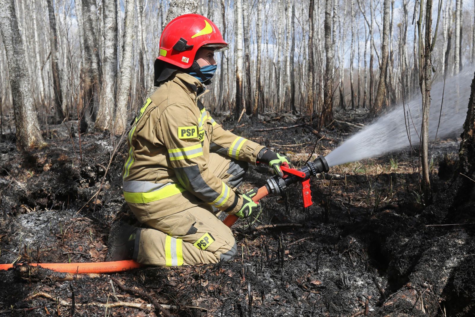 Strażacy pokonali pożar w Biebrzańskim Parku Narodowym