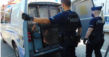 Małopolskie. 24-latek śmiertelnie potrącił 61-latka i uciekł. Już wcześniej miał problemy z prawem