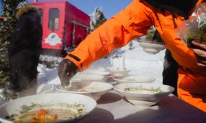 Włoskie specjały wyprzedzają Igrzyska? To świat gwiazdkowych lokali