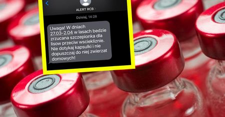 Alert RCB dla trzech województw. "Nie dotykaj i nie dopuszczaj zwierząt domowych"