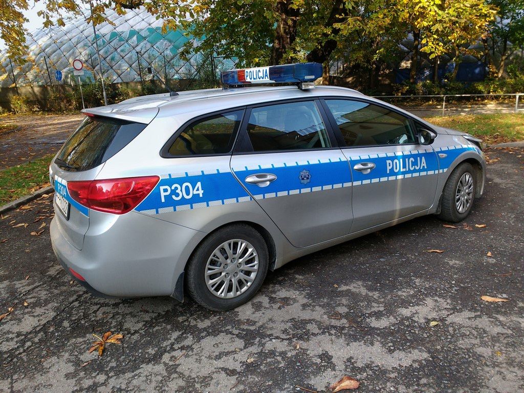 Potrącenie na przejściu dla pieszych w Ostrowcu Św.