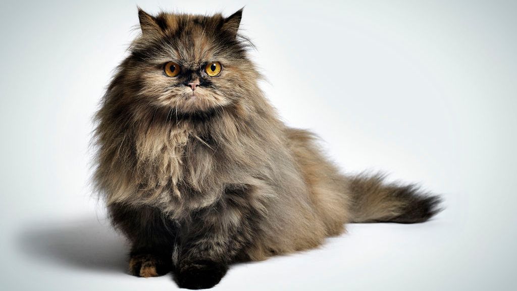 Rzeczywistość jest niesamowita 1