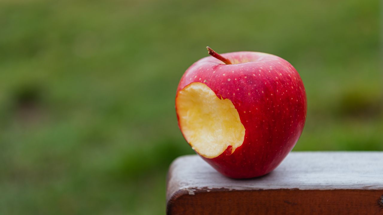 Apple wygrało, ale... przegrało. Firma musi spełnić wszystkie zalecenia sądu i dostanie po kieszeni