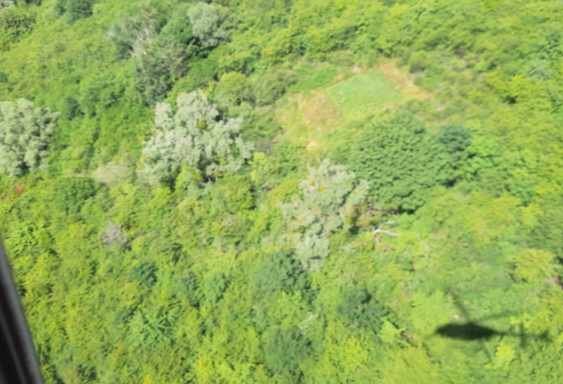 Policjanci dostrzegli plantację lecąc śmigłowcem