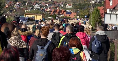 W tym roku istne szaleństwo w górach. 100 proc. miejsc wyprzedanych na jeden termin