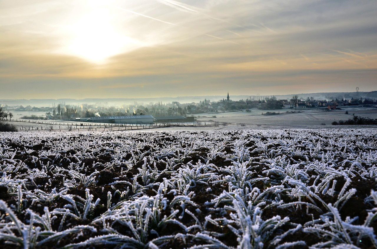 Temperatury spadną poniżej zera. Zapowiedziano kiedy