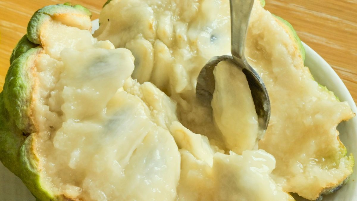 Cherymoya znana jest także jako flaszowiec peruwiański