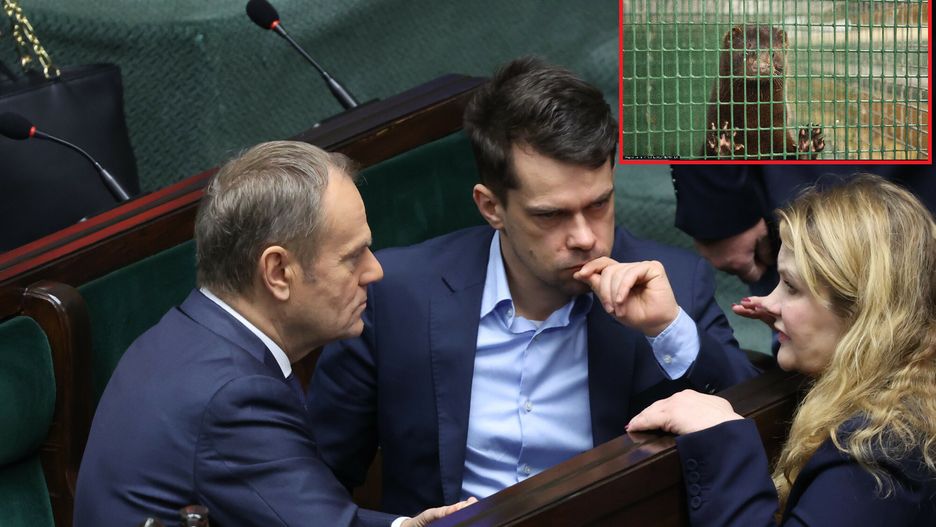 Donald Tusk, Michał Kołodziejczak, Katarzyna Piekarska