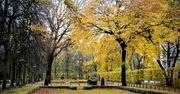 Poznań: Tak przepięknie wygląda Park Wilsona