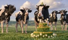 „Wszystkiego łaciatego” w jubileuszowej promocji mleka Łaciate (wideo)