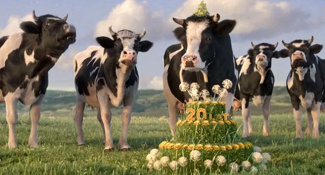 „Wszystkiego łaciatego” w jubileuszowej promocji mleka Łaciate (wideo)