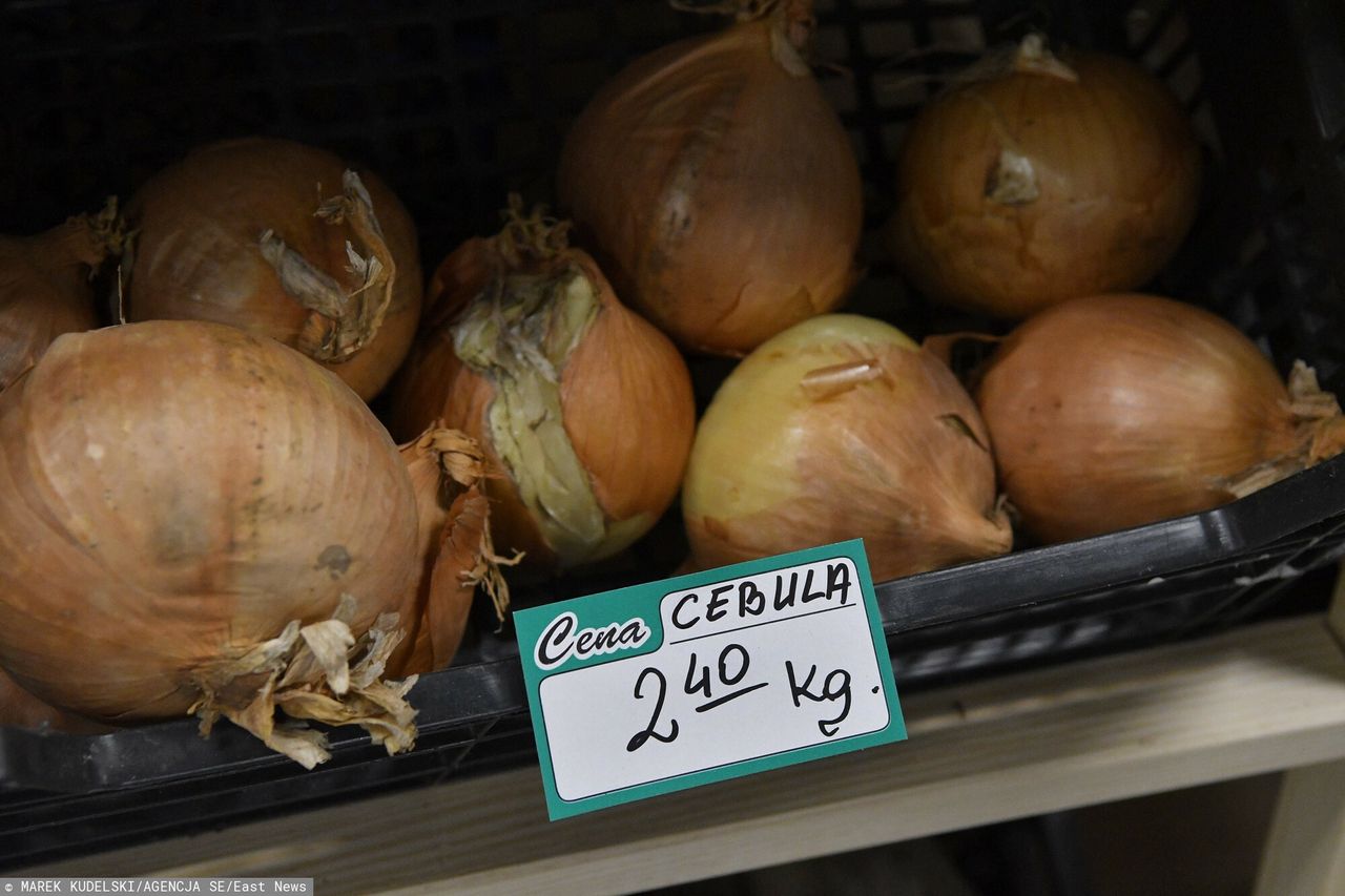 "Polska cebula" z Egiptu. Rząd chce ukrócić praktykę sieci handlowych