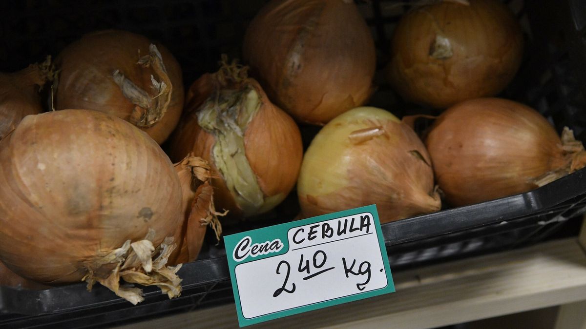 Rząd przyjął projekt ustawy o oznaczeniach geograficznych produktów rolnych