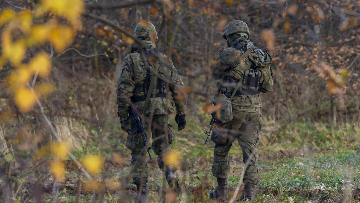 W akcji biorą udział żołnierze WOT (zdj. ilustracyjne) 