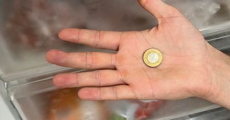 Wyjeżdżasz? Włóż monetę do zamrażalnika. Mało kto zna tę sztuczkę