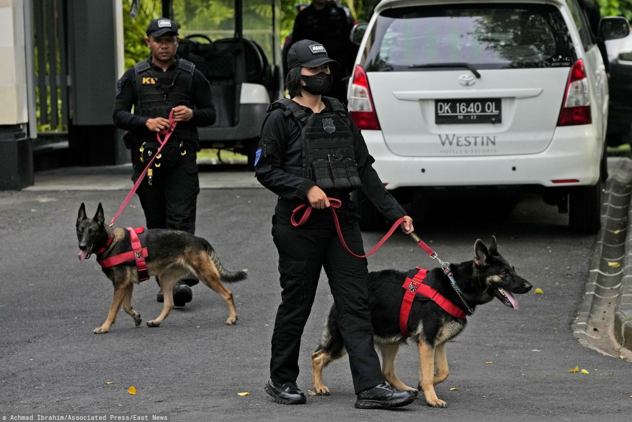 Złapany na Bali. Celnicy na lotnisku osłupieli, kontrolując podróżnego