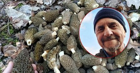 Nawet 400 zł za kilogram. Chwalą się pełnym koszem. "To jest ich czas"