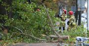 Silna burza w Warszawie. Wiatr spowodował szkody