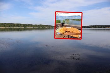 Taki gigant na talerzu. Podali cenę. Ludzie łapią się za głowy