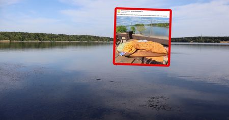 Taki gigant na talerzu. Podali cenę. Ludzie łapią się za głowy