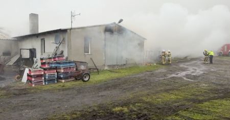 Pożar na fermie. Spłonęły 23 tysiące żywych zwierząt