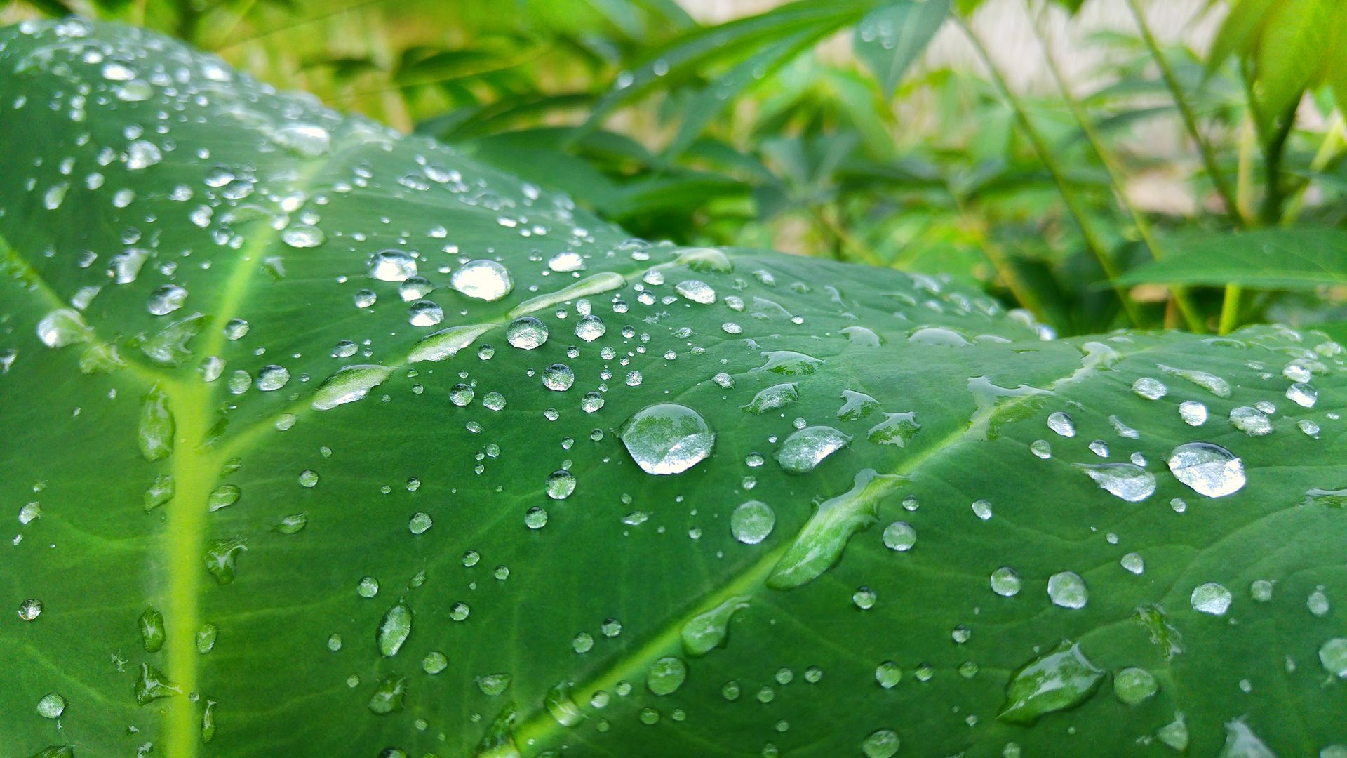 Jacek Bonecki fotografuje LG G4. Efekty są niesamowite! 4