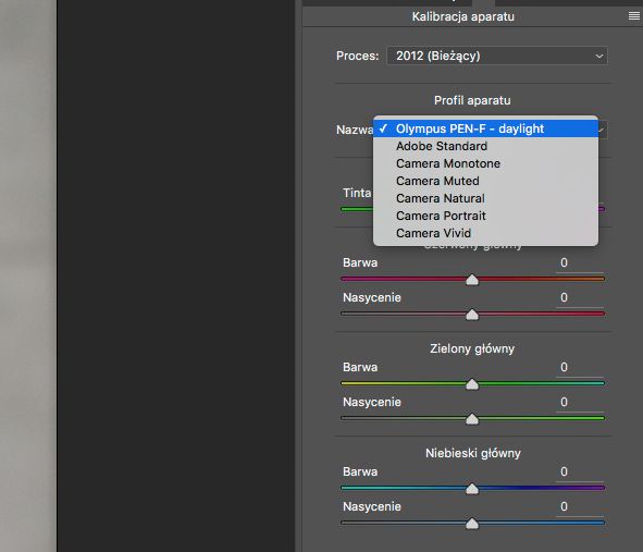 Profil aparatu wybierasz w zakładce Camera Calibration, zarówno w Adobe Camera RAW, jak i Lightroomie.