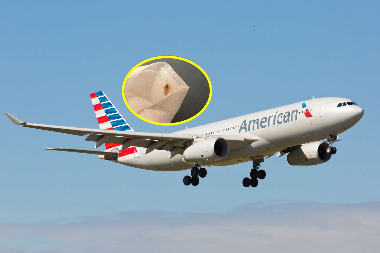 Bedbug horror on American airlines: First-class passenger's nightmare