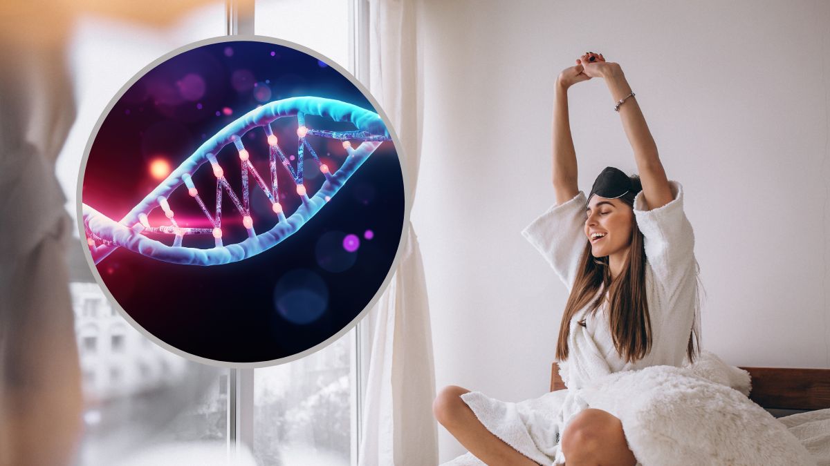 Geny odziedziczone od neandertalczyków mają wpływ na wstawanie.