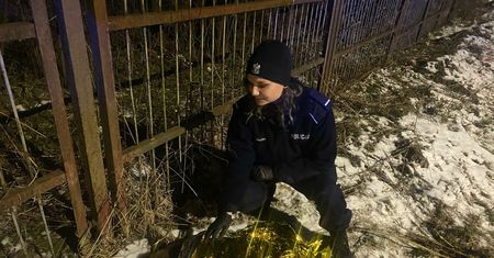Uratowali rannego bobra. Okryli go kocem termicznym