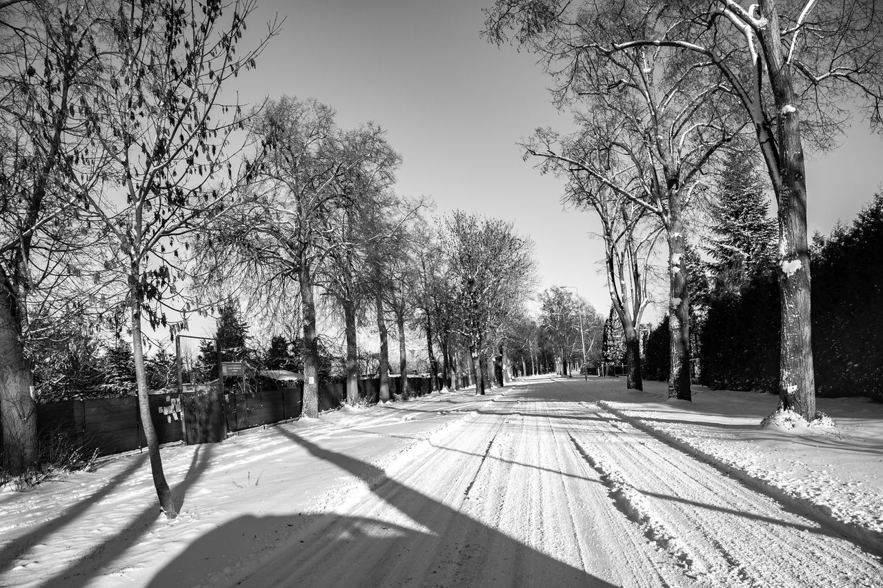 Piła, zima, śnieg