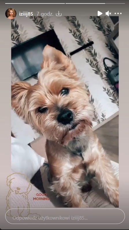 Iza i Kamil ze "Ślubu od pierwszego wejrzenia" nadal są razem?