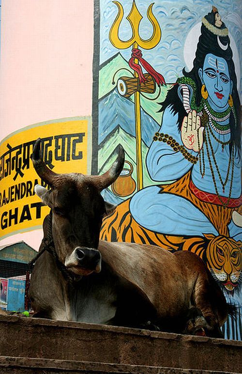 Ganges 3