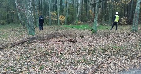 Myśliwy celował w dzika. Dramat na polowaniu pod Częstochową