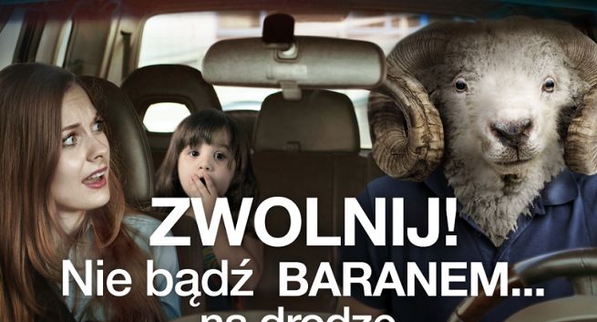 „Zwolnij! Nie bądź baranem… na drodze” w kampanii promującej fotoradary (wideo)