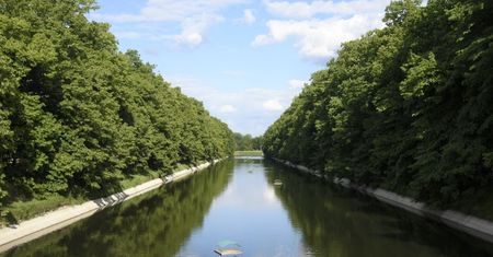 Warszawa. Ponad 20 nowych tratw dla ptaków wodnych. "Służą im jako miejsce do gniazdowania i spoczynku"