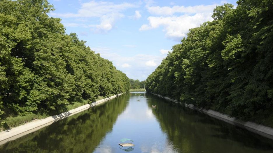 Warszawa. Ponad 20 nowych tratw dla ptaków wodnych. 