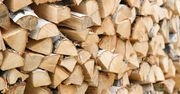 Ceny opału. Oto ile kosztuje metr drewna