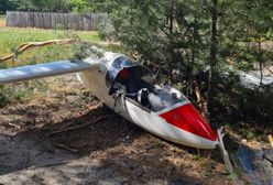 Szybowiec awaryjnie lądował na polu. Pilot uderzył w drzewo