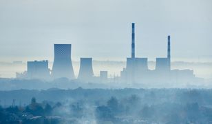 Wróciły mrozy, a wraz z nimi smog. W tych miastach jakość powietrza była najgorsza