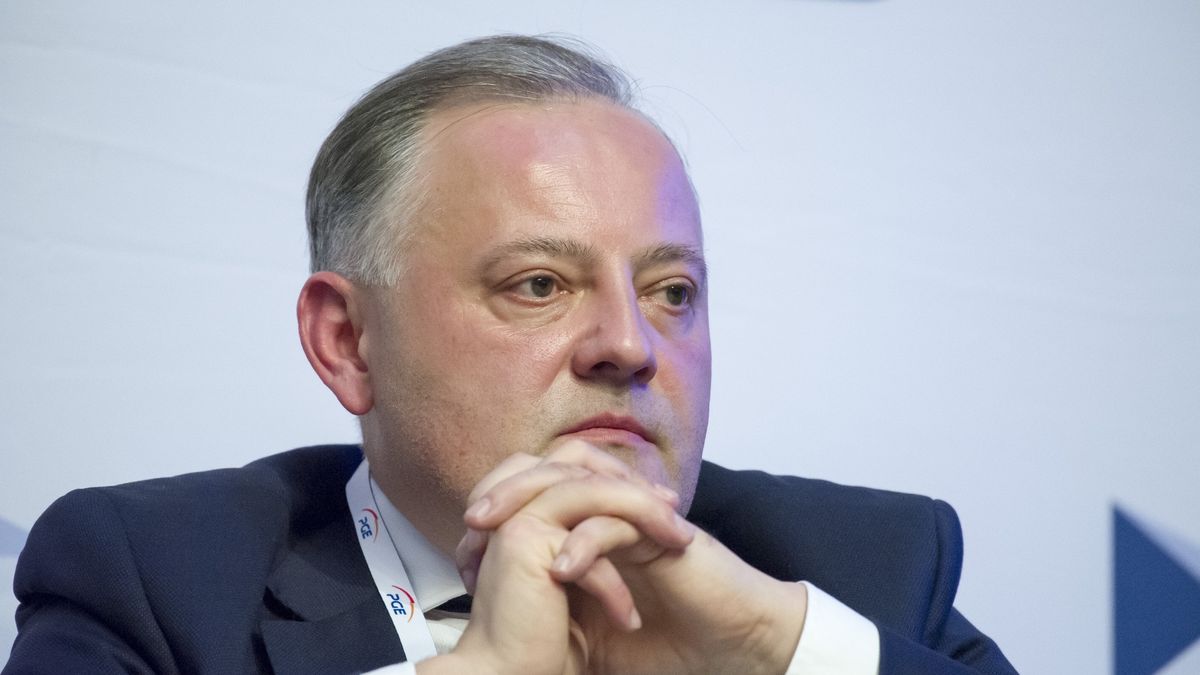 Wojciech Dąbrowski od lutego jest prezesem PGE.