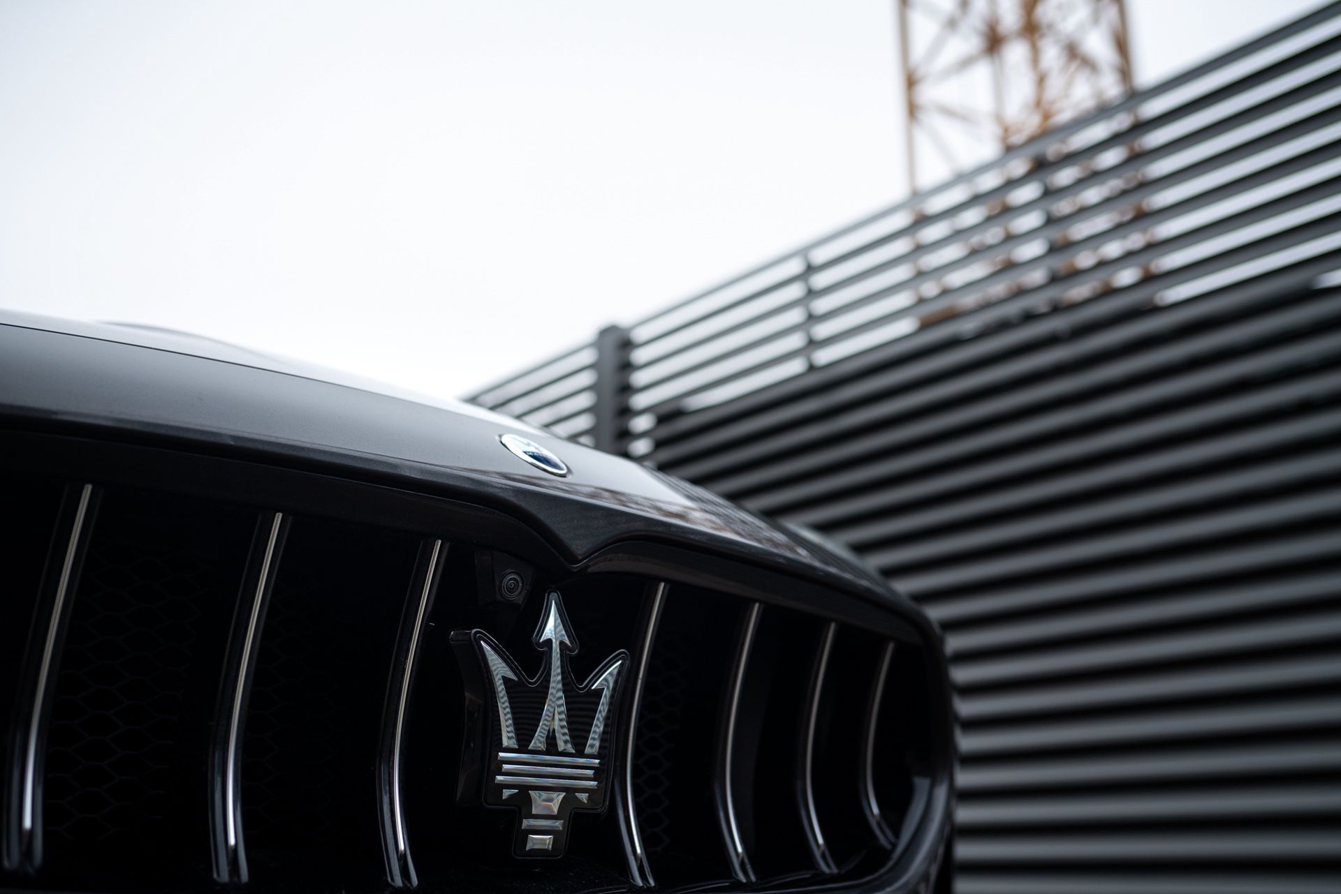 Maserati Grecale GT