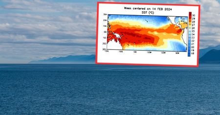 La Niña zastąpi "chłopczyka". Na całym świecie mogą wystąpić anomalie pogodowe