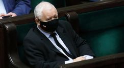 Kaczyński o polexicie. Zdecydowana reakcja posłanki. Dziennikarz pod wrażeniem